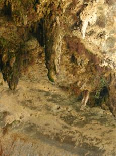 Stalactite