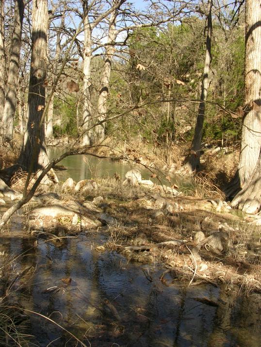 Another part fo the ambling stream