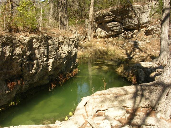 A Small Pool framed by a rock and a gnarly root
