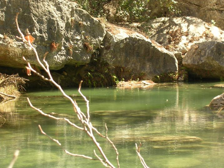 The water was so clear, you could see straight to the bottom