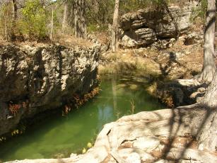 A Small Pool framed by a rock and a gnarly root