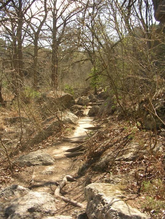 A natural path along the river