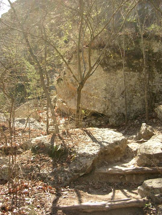 Rocky Path Leading along the stream