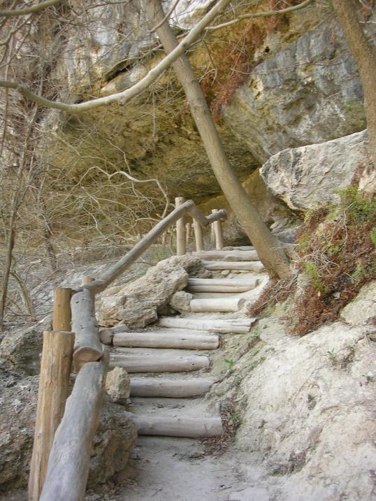 Park provided Wood Stairs