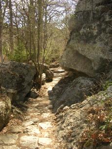 Flag Stone Path