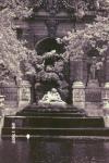Luxemborg Gardens CloseUp
