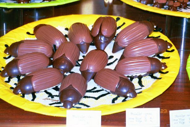 Chocolate Bugs